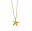 Starfish necklace